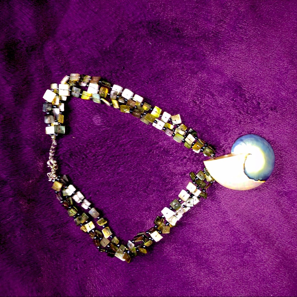🐚 Shell Necklace!!